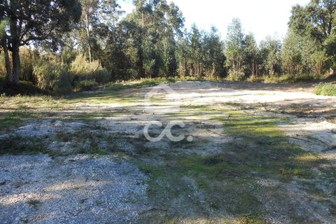 Helårsgrund i Juncal, Leiria, Juncal - € 19.000 | Ref: 364/T/00732 - foto 4