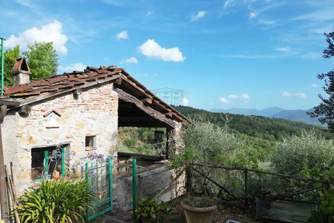 Villa i Lucca, Lucca, Lucca - € 550.000 | Ref: IA03581 - foto 6