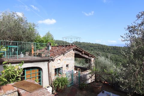 Villa i Lucca, Lucca, Lucca - € 550.000 | Ref: IA03581 - foto 24