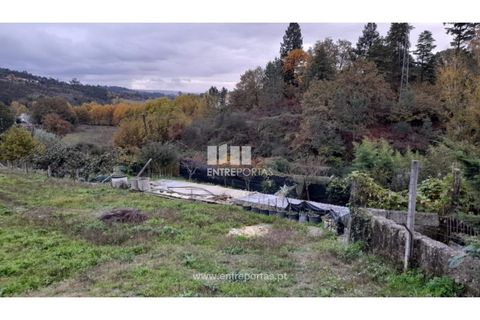 Terra a Vila Mea, Porto, Vila Mea - € 107.500 | Ref: MC09607 - foto 4