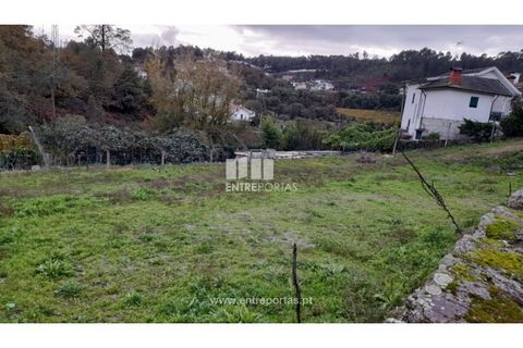 Terra a Vila Mea, Porto, Vila Mea - € 107.500 | Ref: MC09607 - foto 6