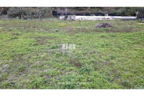 Terra a Vila Mea, Porto, Vila Mea - € 107.500 | Ref: MC09607 - foto 8