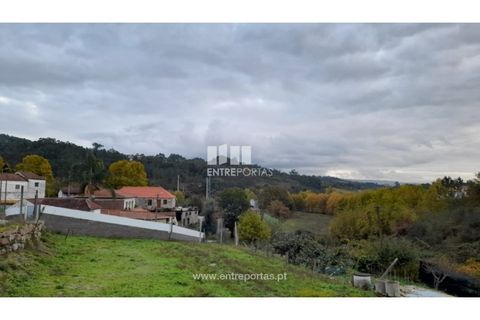 Terra a Vila Mea, Porto, Vila Mea - € 107.500 | Ref: MC09607 - foto 13