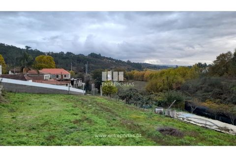 Terra a Vila Mea, Porto, Vila Mea - € 107.500 | Ref: MC09607 - foto 14
