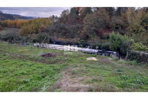 Terra a Vila Mea, Porto, Vila Mea - € 107.500 | Ref: MC09607 - foto 27