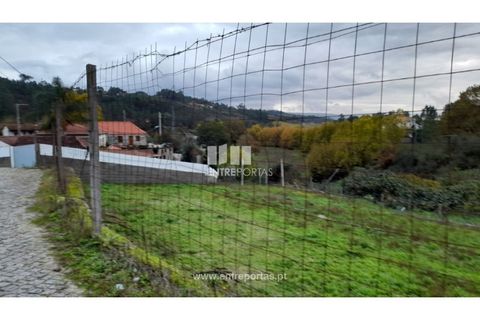 Terra a Vila Mea, Porto, Vila Mea - € 107.500 | Ref: MC09607 - foto 29