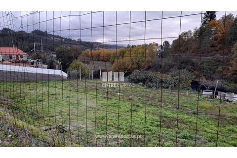 Terra a Vila Mea, Porto, Vila Mea - € 107.500 | Ref: MC09607 - foto 30