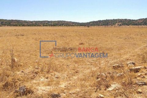Helårsgrund i Silves, Faro, Silves - € 45.000 | Ref: T-26212 - foto 5