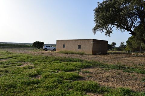 Landhaus in Villablanca, Huelva - Foto 1