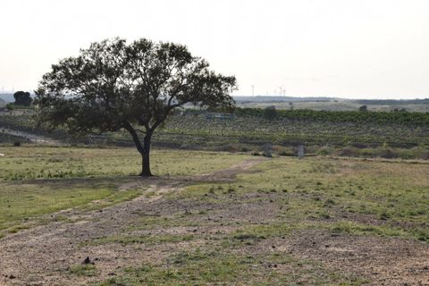 Landhaus in Villablanca, Huelva - Foto 4