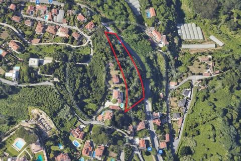 Helårsgrund i Sintra, Lisbon, Sintra - € 2.000.000 | Ref: LANE_7217 - foto 1