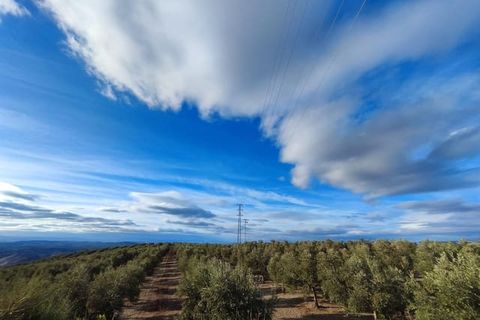 Finca i Antequera, Malaga, Antequera - € 2 800 000 | Ref: AGAQ-1201 - foto 9