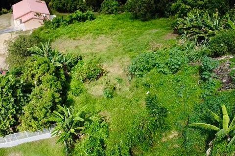 Helårsgrund i Schoelcher, Martinique, Schoelcher - € 171.169 | Ref: A5081 - foto 3