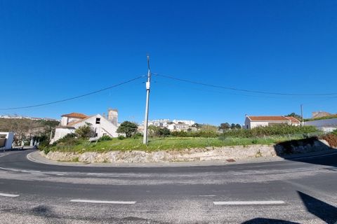 Helårsgrund i Nazare, Leiria, Nazare - € 1.600.000 | Ref: BL998 - foto 4
