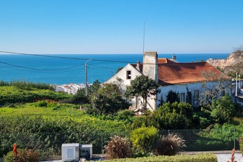 Helårsgrund i Nazare, Leiria, Nazare - € 1.600.000 | Ref: BL998 - foto 7