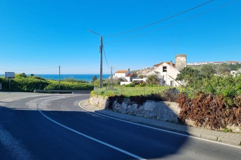 Helårsgrund i Nazare, Leiria, Nazare - € 1.600.000 | Ref: BL998 - foto 12