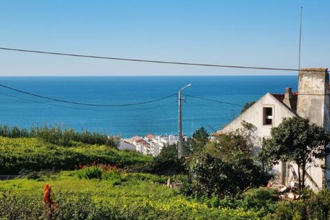 Helårsgrund i Nazare, Leiria, Nazare - € 1.600.000 | Ref: BL998 - foto 17