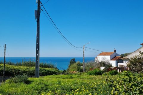 Helårsgrund i Nazare, Leiria, Nazare - € 1.600.000 | Ref: BL998 - foto 19