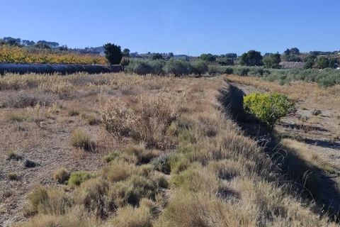 Landejendom i Agullent, Valencia, Agullent - € 50.000 | Ref: 2920 - foto 5