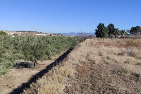 Landejendom i Agullent, Valencia, Agullent - € 50.000 | Ref: 2920 - foto 6