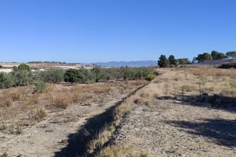 Landejendom i Agullent, Valencia, Agullent - € 50.000 | Ref: 2920 - foto 7