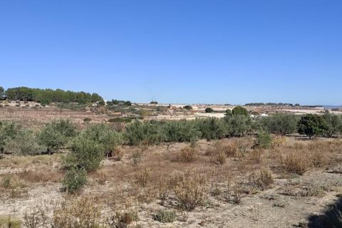 Landejendom i Agullent, Valencia, Agullent - € 50.000 | Ref: 2920 - foto 8