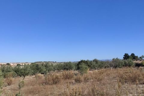 Landejendom i Agullent, Valencia, Agullent - € 50.000 | Ref: 2920 - foto 9