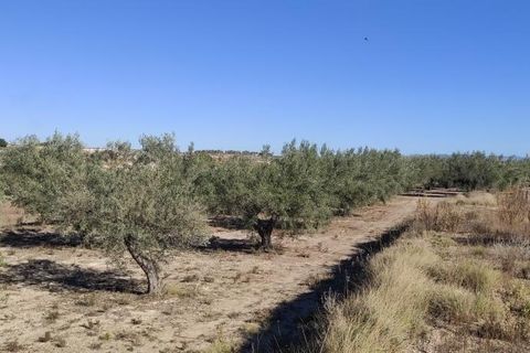 Landejendom i Agullent, Valencia, Agullent - € 50.000 | Ref: 2920 - foto 10