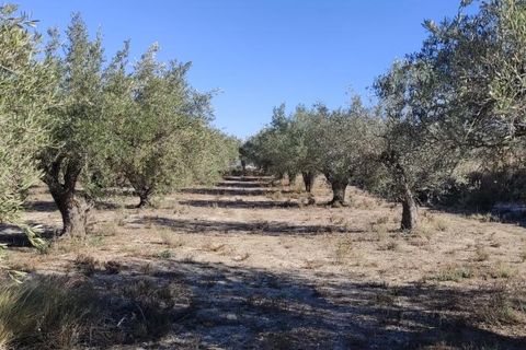 Landejendom i Agullent, Valencia, Agullent - € 50.000 | Ref: 2920 - foto 11