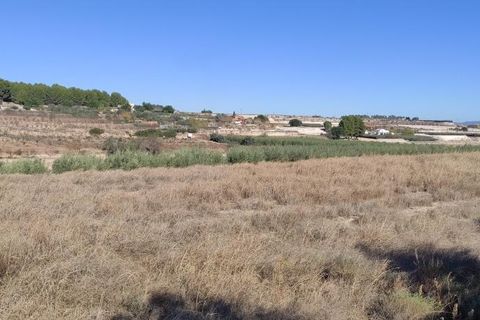 Landejendom i Agullent, Valencia, Agullent - € 50.000 | Ref: 2920 - foto 12