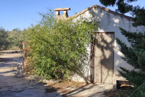 Landejendom i Agullent, Valencia, Agullent - € 50.000 | Ref: 2920 - foto 16