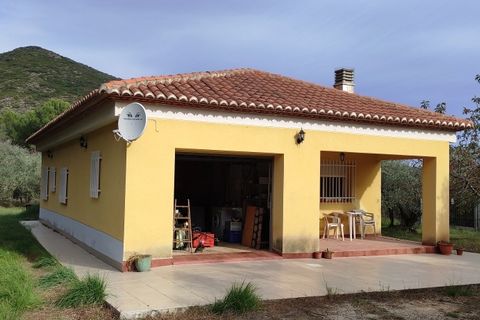 Landejendom i Villalonga, Valencia, Villalonga - € 149.000 | Ref: 2922 - foto 16