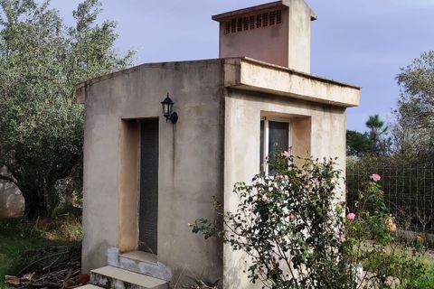 Landejendom i Villalonga, Valencia, Villalonga - € 149.000 | Ref: 2922 - foto 18
