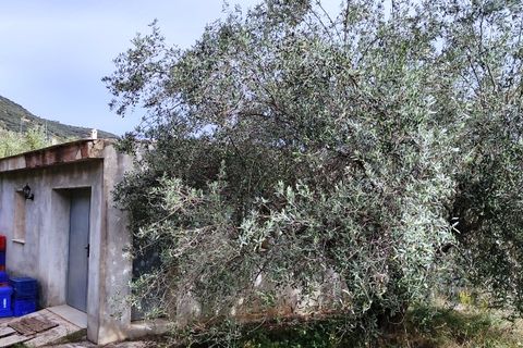 Landejendom i Villalonga, Valencia, Villalonga - € 149.000 | Ref: 2922 - foto 20