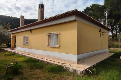 Landejendom i Villalonga, Valencia, Villalonga - € 149.000 | Ref: 2922 - foto 23