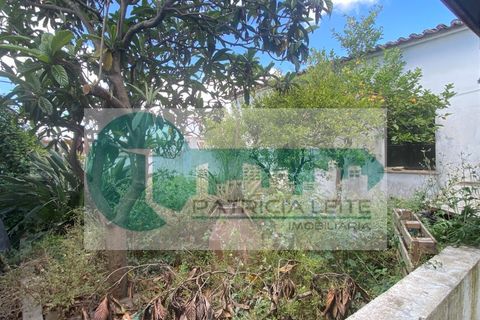 Bungalow i Vidigueira, Beja, Vidigueira - € 150.000 | Ref: MOR_67 - foto 13