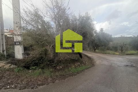 Helårsgrund i Penela, Coimbra, Penela - € 50.000 | Ref: LT1097 - foto 2