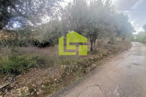 Helårsgrund i Penela, Coimbra, Penela - € 50.000 | Ref: LT1097 - foto 3