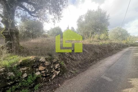 Helårsgrund i Penela, Coimbra, Penela - € 50.000 | Ref: LT1097 - foto 4