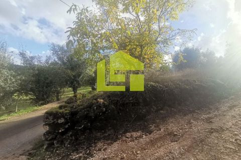 Helårsgrund i Penela, Coimbra, Penela - € 50.000 | Ref: LT1097 - foto 5
