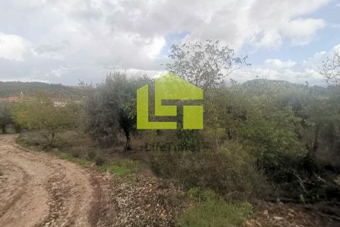 Helårsgrund i Penela, Coimbra, Penela - € 50.000 | Ref: LT1097 - foto 6