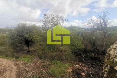 Helårsgrund i Penela, Coimbra, Penela - € 50.000 | Ref: LT1097 - foto 7