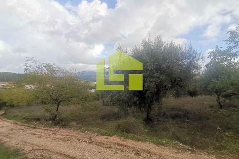 Helårsgrund i Penela, Coimbra, Penela - € 50.000 | Ref: LT1097 - foto 8