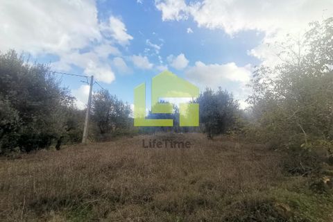 Helårsgrund i Penela, Coimbra, Penela - € 50.000 | Ref: LT1097 - foto 10