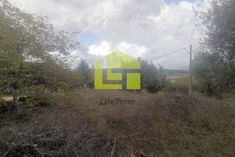 Helårsgrund i Penela, Coimbra, Penela - € 50.000 | Ref: LT1097 - foto 11