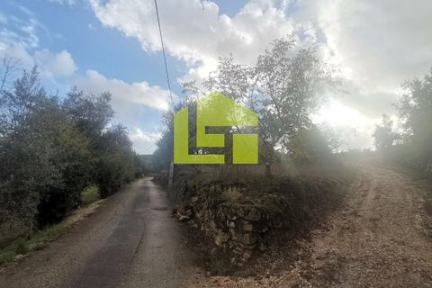 Helårsgrund i Penela, Coimbra, Penela - € 50.000 | Ref: LT1097 - foto 12