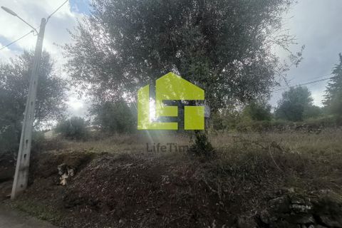 Helårsgrund i Penela, Coimbra, Penela - € 50.000 | Ref: LT1097 - foto 13