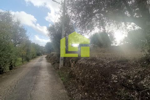 Helårsgrund i Penela, Coimbra, Penela - € 50.000 | Ref: LT1097 - foto 14