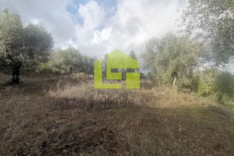 Helårsgrund i Penela, Coimbra, Penela - € 50.000 | Ref: LT1097 - foto 15
