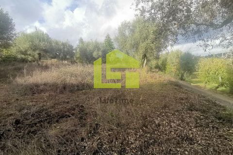 Helårsgrund i Penela, Coimbra, Penela - € 50.000 | Ref: LT1097 - foto 16